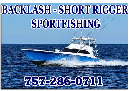 Home  Backlash Sportfishing - OuterBanks / Virginia beach Fishing Charters