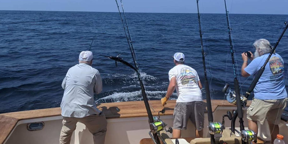 Home Backlash Sportfishing