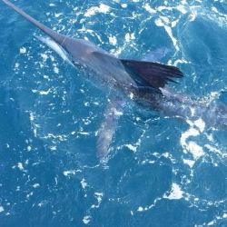 va beach fishing 31 20200330