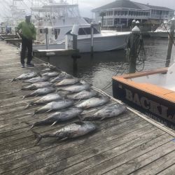 va beach fishing 32 20200330