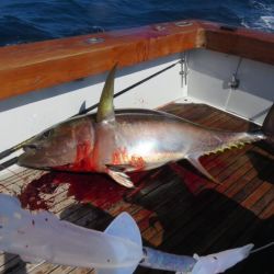 va beach fishing 37 20200330