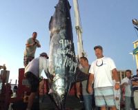 va beach fishing 41 20200330