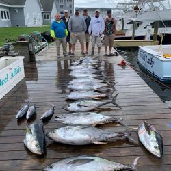 va beach tuna fishing 4 20200619