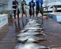 va beach tuna fishing 6 20200619